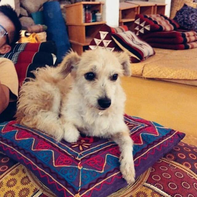 Hostel Ahau 산 마르코스 라 라구나 외부 사진